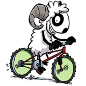 Vélo Vélo
